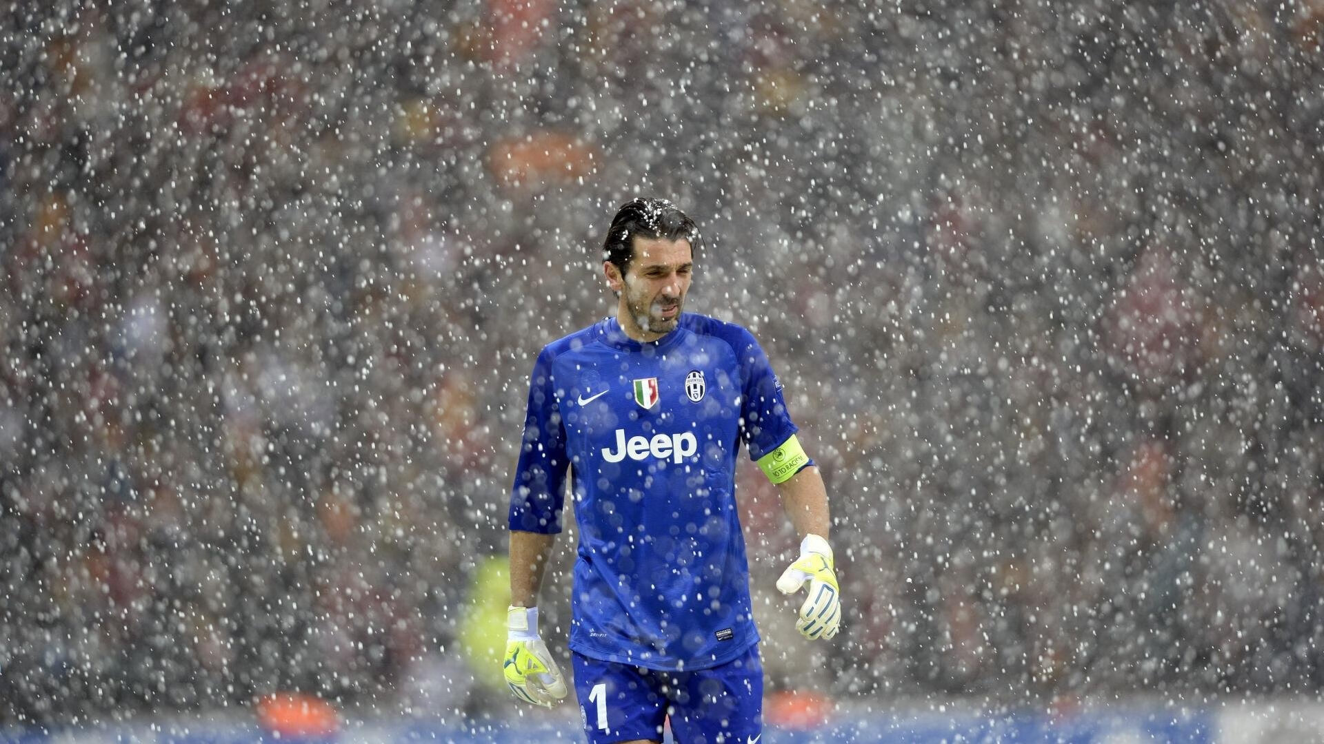 克罗地亚马术协会开展马匹福利宣传活动，提升公众意识。